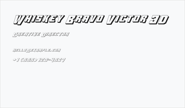 Whiskey Bravo Victor 3D Business Card