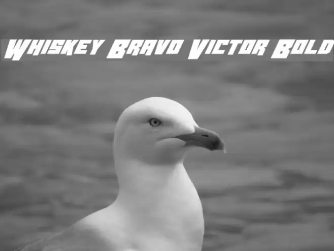 Whiskey Bravo Victor Bold フォント examples
