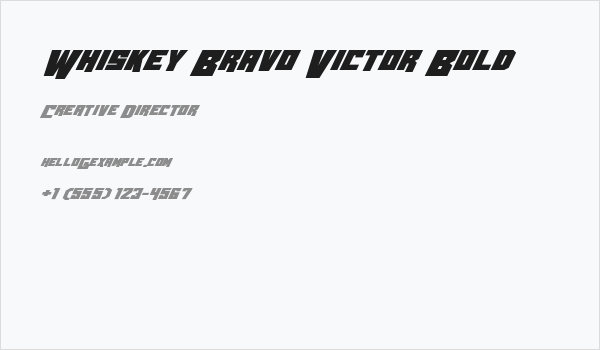 Whiskey Bravo Victor Bold Business Card