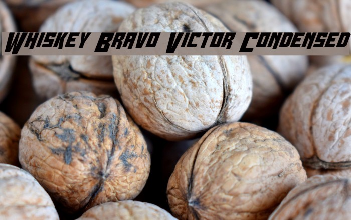 Whiskey Bravo Victor Condensed Font examples