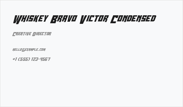 Whiskey Bravo Victor Condensed Business Card