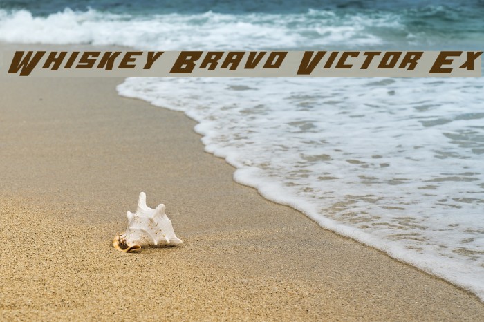 Whiskey Bravo Victor Ex Font examples