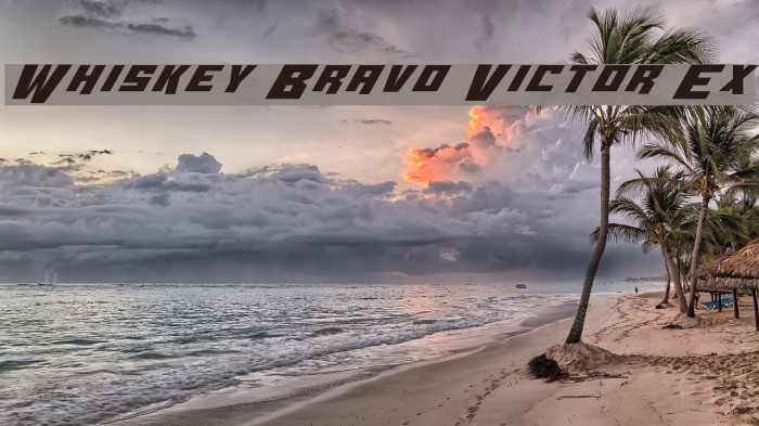 Whiskey Bravo Victor Ex Font examples