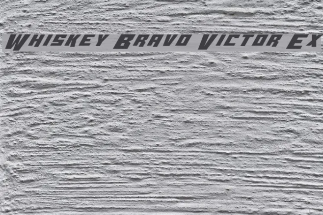 Whiskey Bravo Victor Ex Example 3