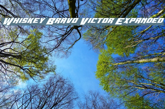 Whiskey Bravo Victor Expanded Font examples