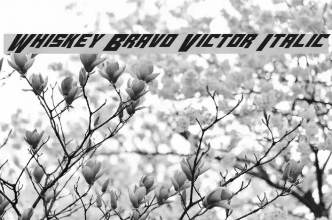 Whiskey Bravo Victor Italic Fonte examples