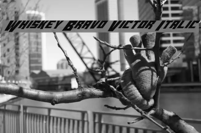 Whiskey Bravo Victor Italic Fonte examples