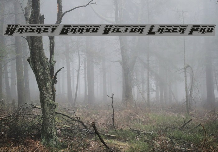 Whiskey Bravo Victor Laser Pro Example 3