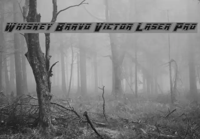 Whiskey Bravo Victor Laser Pro Font examples