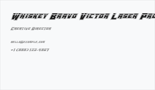 Whiskey Bravo Victor Laser Pro Business Card