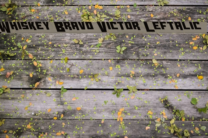 Whiskey Bravo Victor Leftalic Example 1