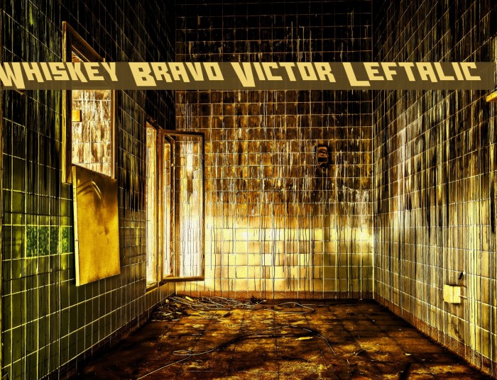 Whiskey Bravo Victor Leftalic Example 2