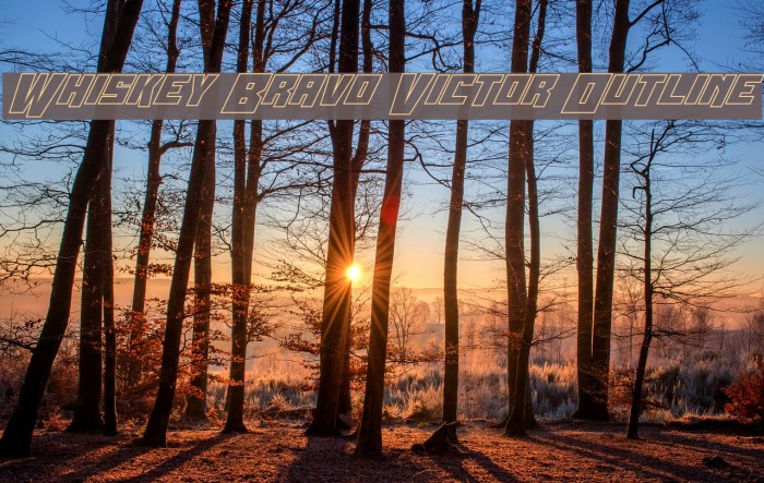 Whiskey Bravo Victor Outline Font examples