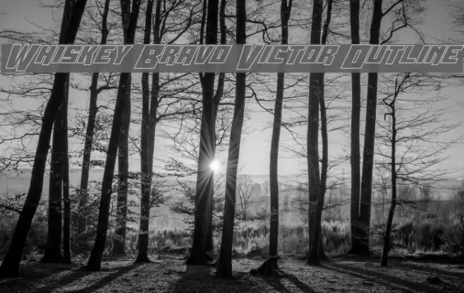 Whiskey Bravo Victor Outline Font examples
