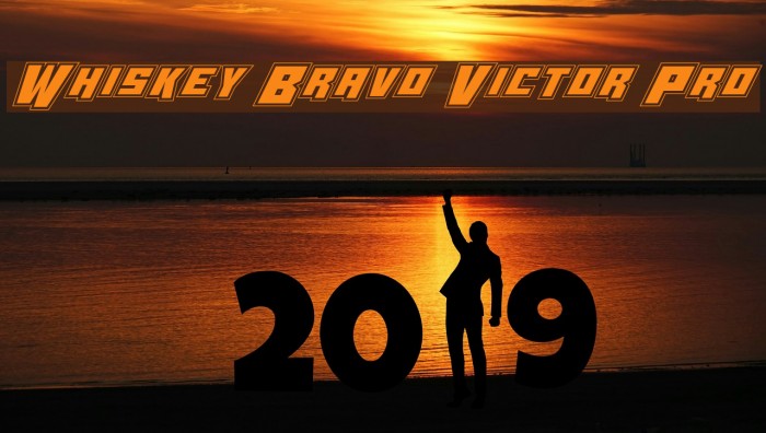 Whiskey Bravo Victor Pro Example 1