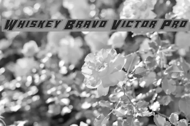 Whiskey Bravo Victor Pro Font examples