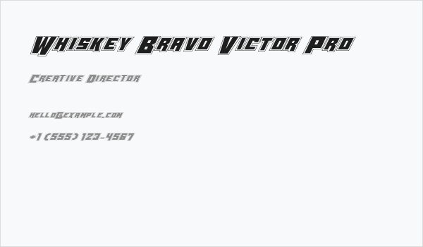 Whiskey Bravo Victor Pro Business Card