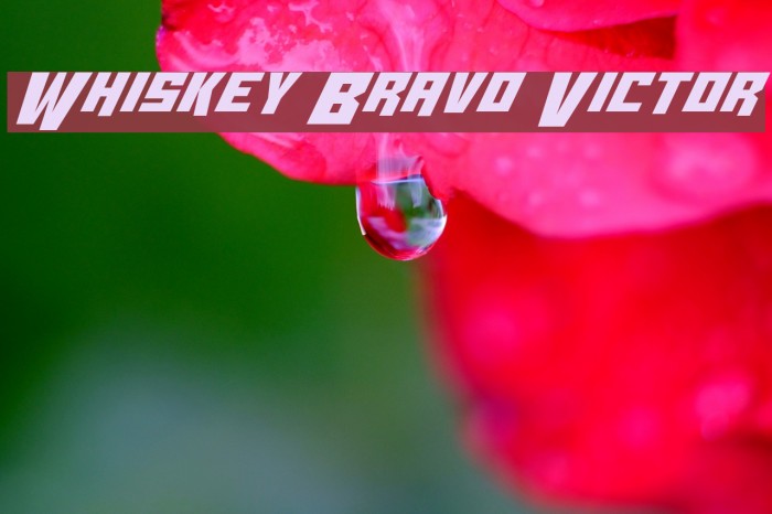 Whiskey Bravo Victor Font examples