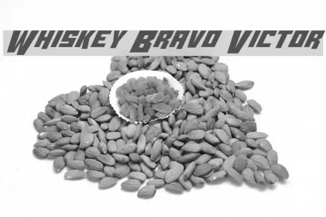 Whiskey Bravo Victor Font examples