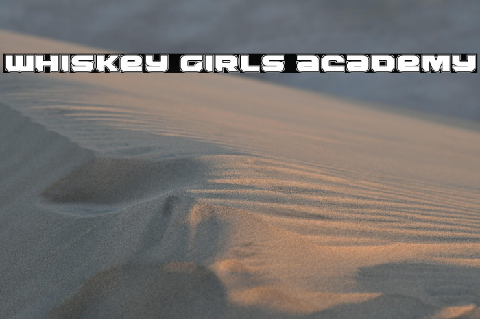 Whiskey Girls Academy Example 2