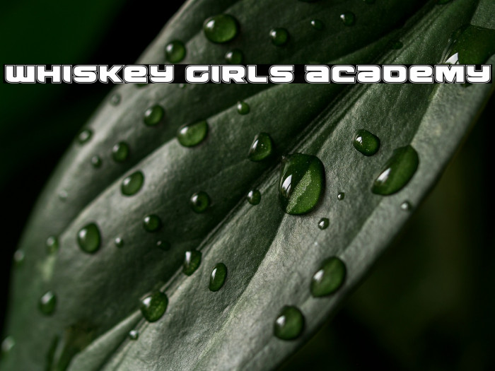 Whiskey Girls Academy Example 3