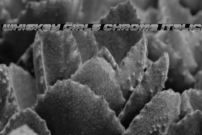 Whiskey Girls Chrome Italic Font examples