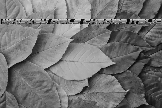 Whiskey Girls Chrome Italic Font examples