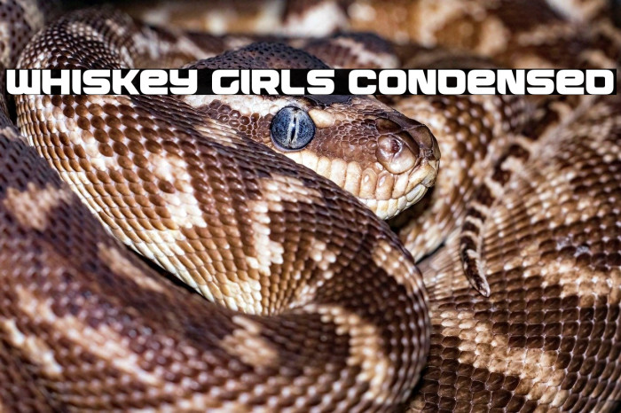 Whiskey Girls Condensed Example 1