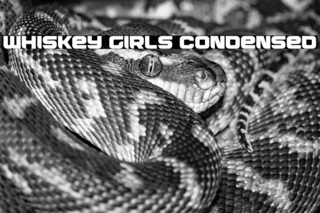 Whiskey Girls Condensed Font examples