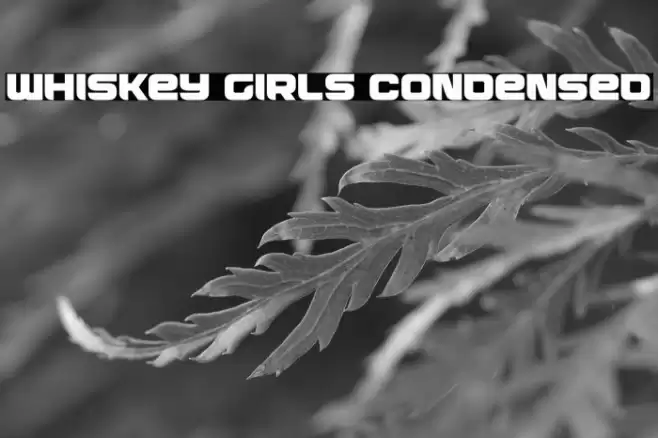 Whiskey Girls Condensed Font examples