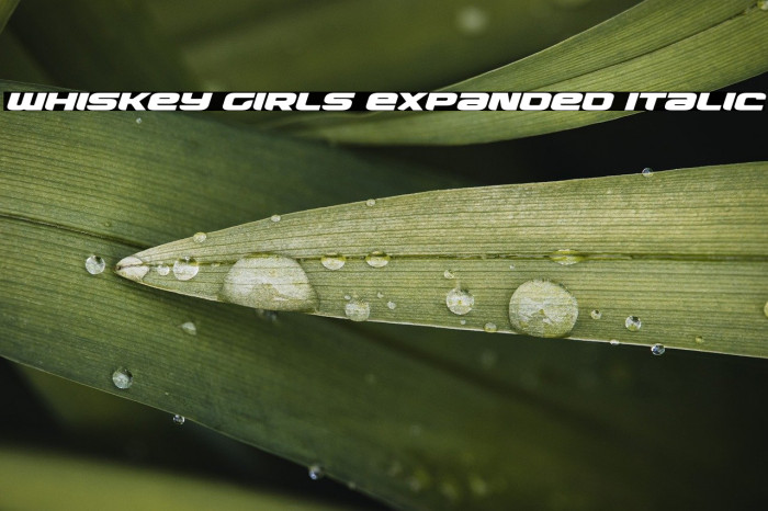 Whiskey Girls Expanded Italic Example 2