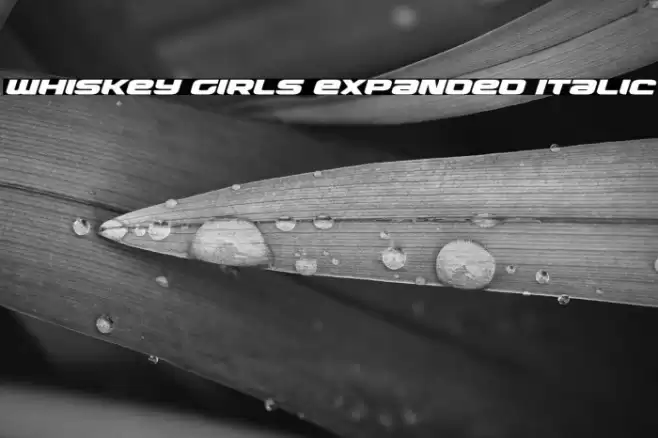 Whiskey Girls Expanded Italic Font examples