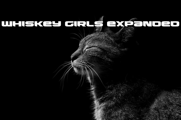 Whiskey Girls Expanded Example 1