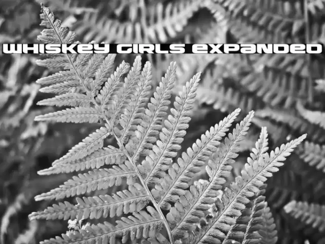Whiskey Girls Expanded Font examples