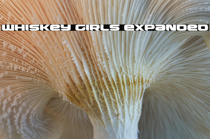 Whiskey Girls Expanded Example 3