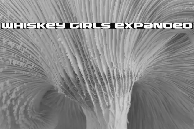 Whiskey Girls Expanded Font examples