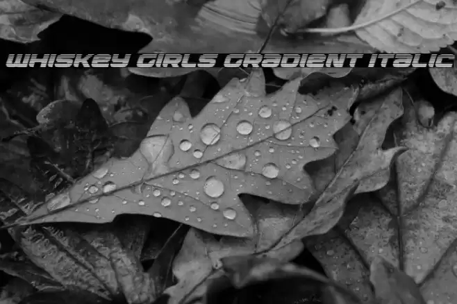 Whiskey Girls Gradient Italic Font examples