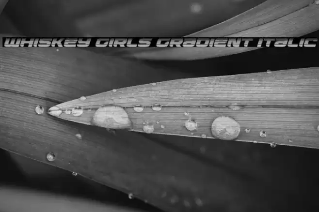 Whiskey Girls Gradient Italic Font examples