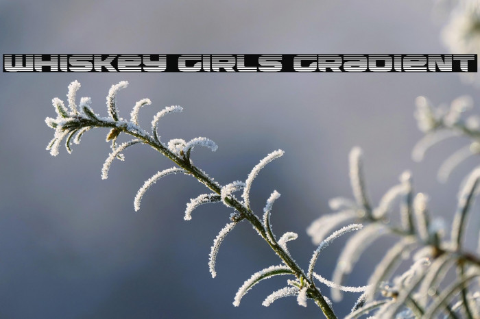 Whiskey Girls Gradient Example 3