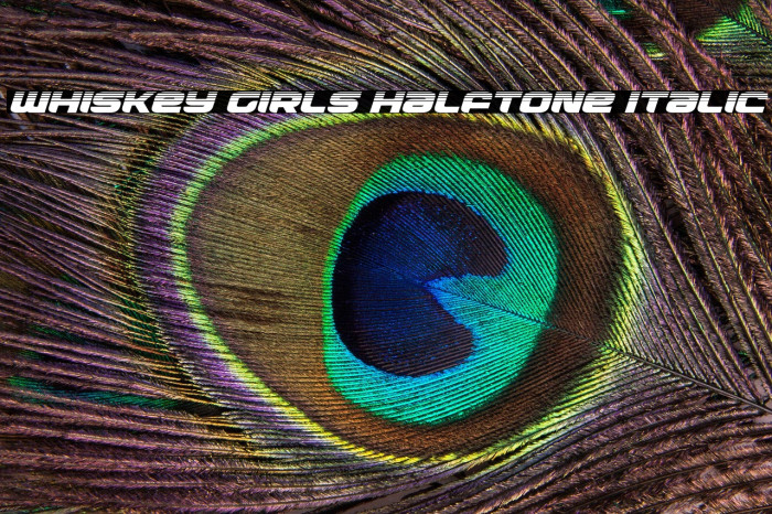 Whiskey Girls Halftone Italic Example 3