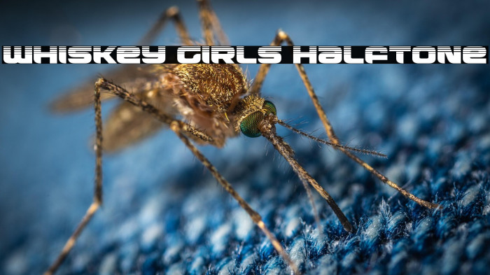 Whiskey Girls Halftone Example 1