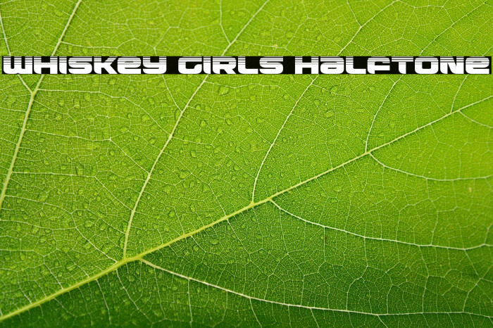 Whiskey Girls Halftone Example 3