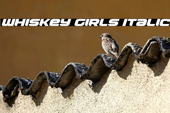 Whiskey Girls Italic Example 1