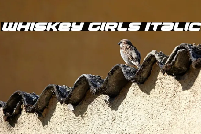 Whiskey Girls Italic Example 1