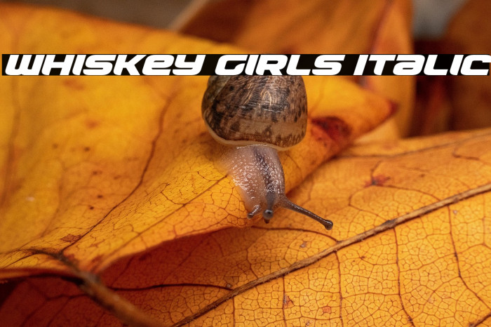 Whiskey Girls Italic Example 2