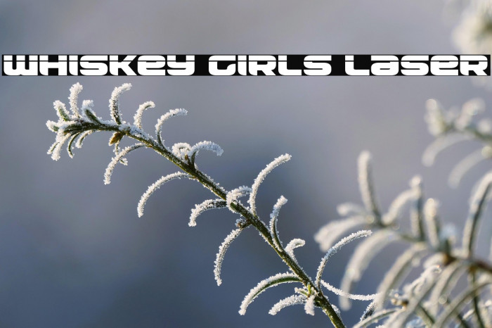 Whiskey Girls Laser Example 3