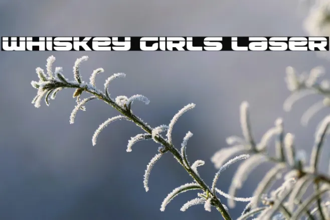 Whiskey Girls Laser Example 3
