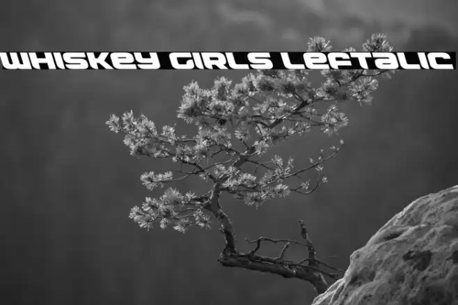 Whiskey Girls Leftalic Font examples