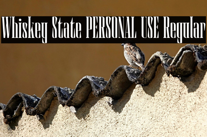 Whiskey State PERSONAL USE Regular Example 1