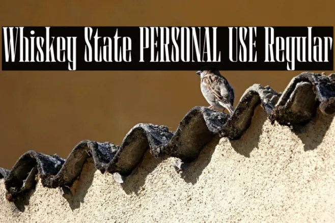 Whiskey State PERSONAL USE Regular Example 1